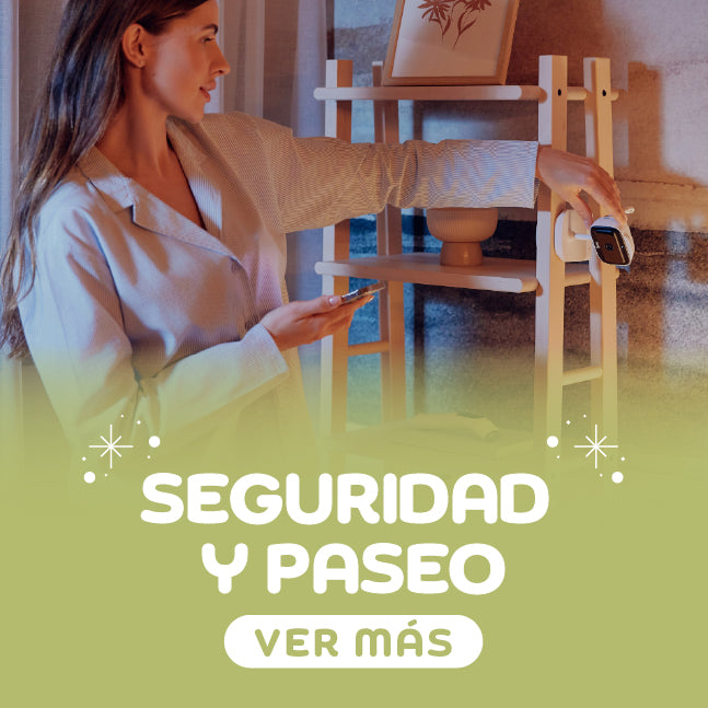 Seguridad y Paseo