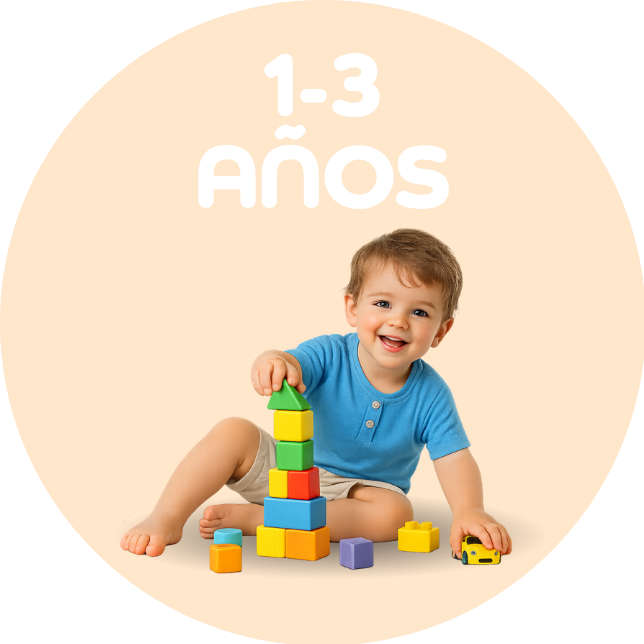 1 a 3 años