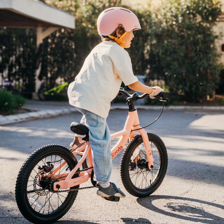 Bicicleta Roda Pro Series Aro 16