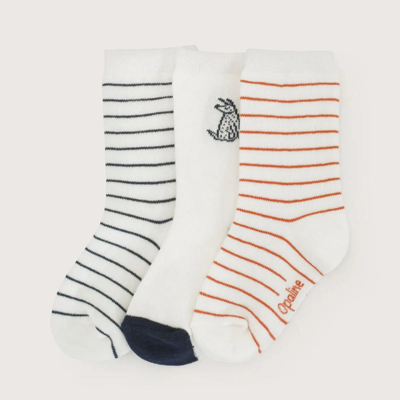 Tripack Calcetines Niño Perrito