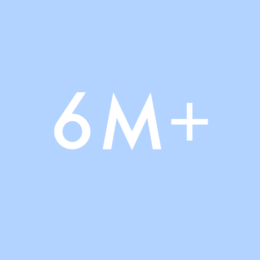 6 Meses +