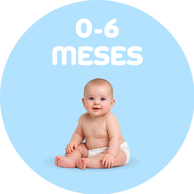 0 a 6 meses