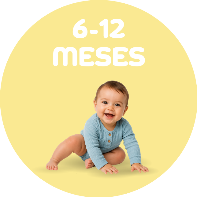 6 a 12 meses