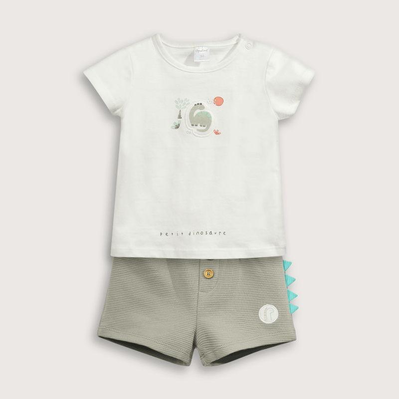 Conjunto Short Dinosaurio