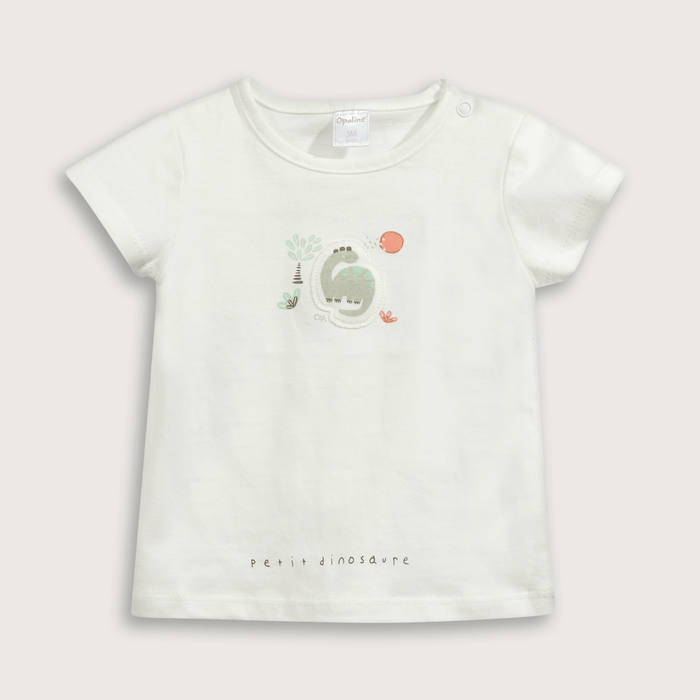 CONJUNTO DINOSAURIO