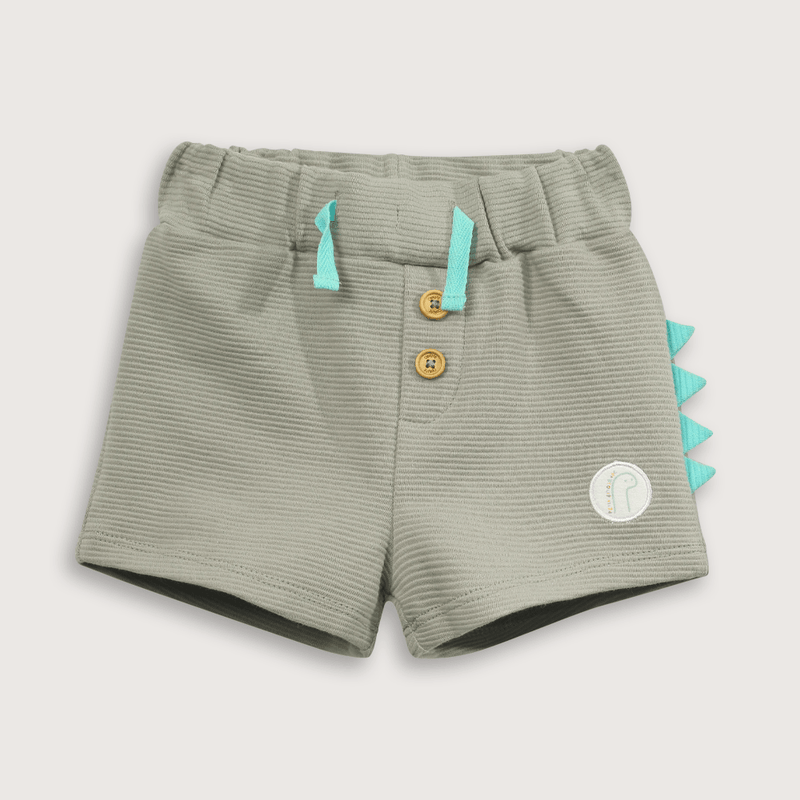 Conjunto Short Dinosaurio