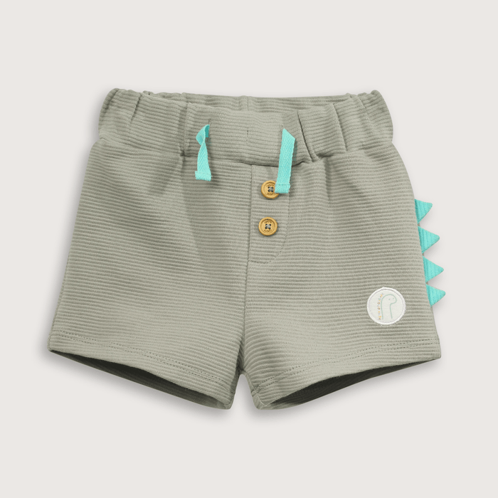 CONJUNTO DINOSAURIO