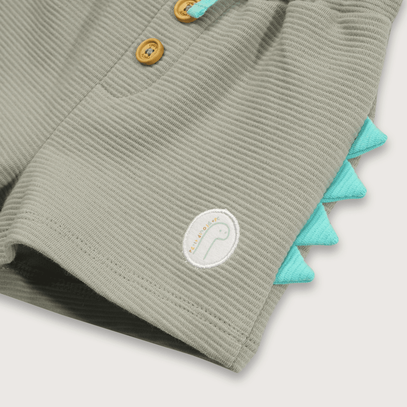 Conjunto Short Dinosaurio