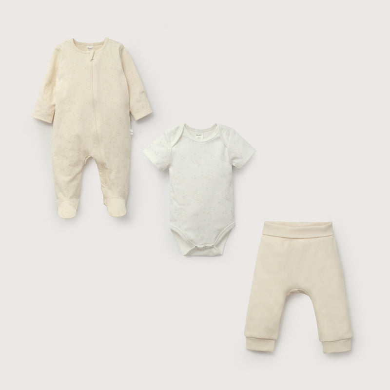 Conjunto 3 Piezas Osito, Body Y Pantalón Beige De Bebé Unisex