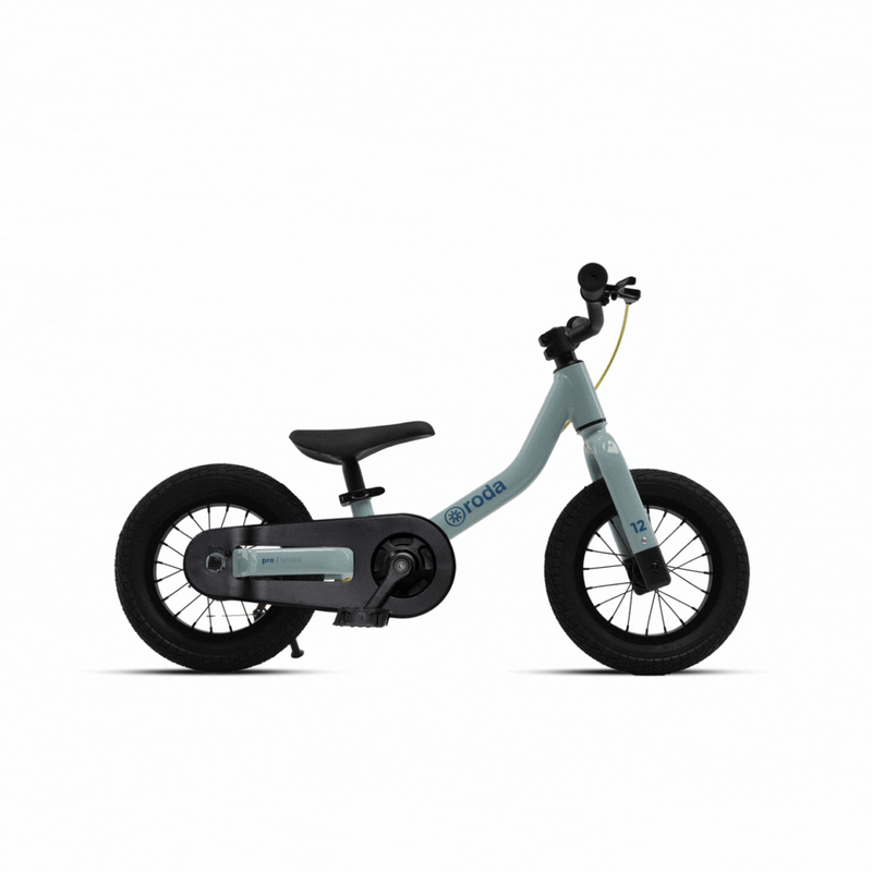 Bicicleta Pro 12 V4 Full