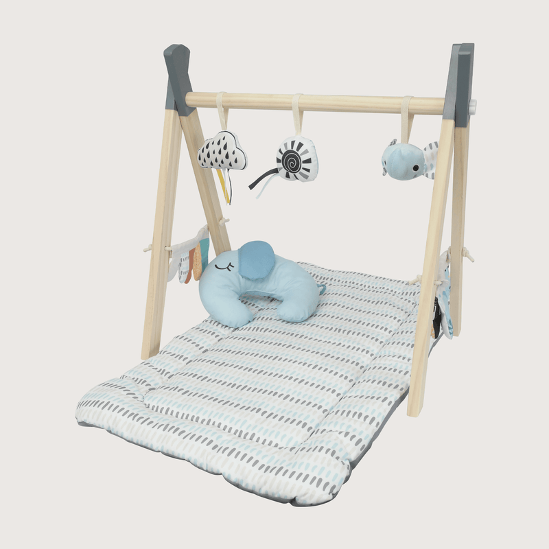 Set Gimnasio Madera