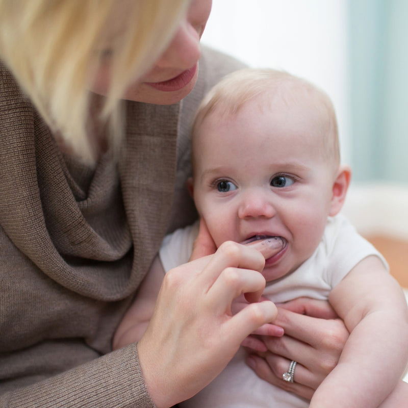 Cepillo de Dientes de dedo extra suave 3M+ Dr. Brown's