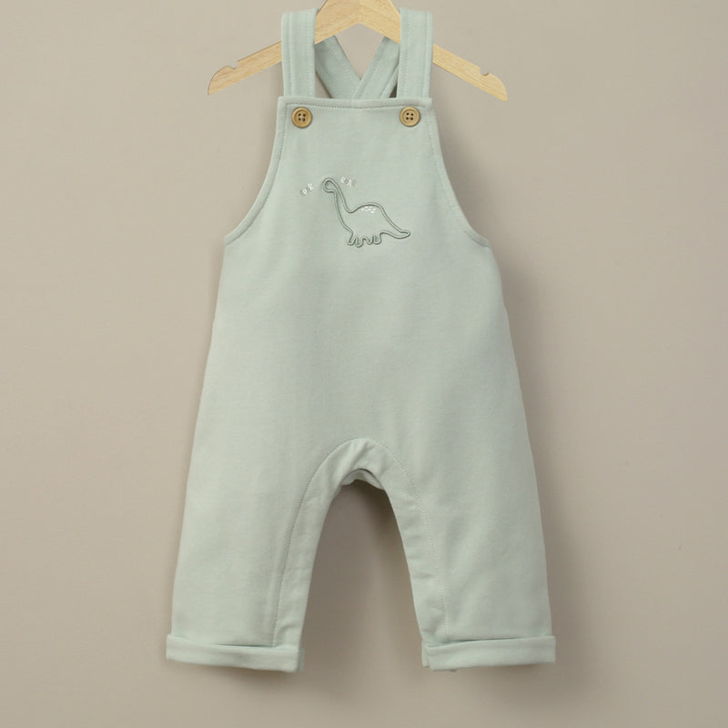 Jardinera Verde De Bebé Niño