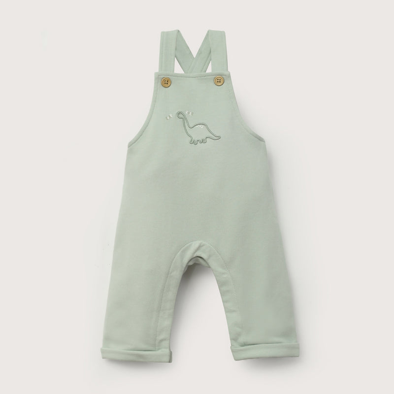 Jardinera Verde De Bebé Niño