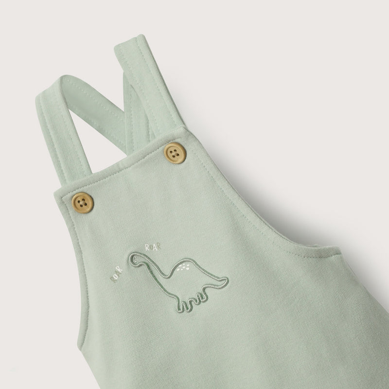 Jardinera Verde De Bebé Niño