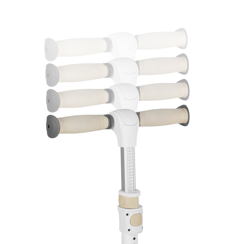 Scooter Bicicleta 2 en 1 con Canasto Franky