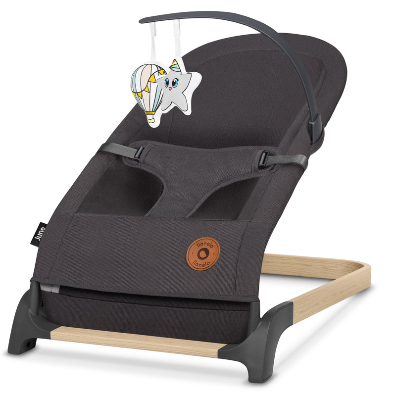 Silla Nido Columpio Hamaca June