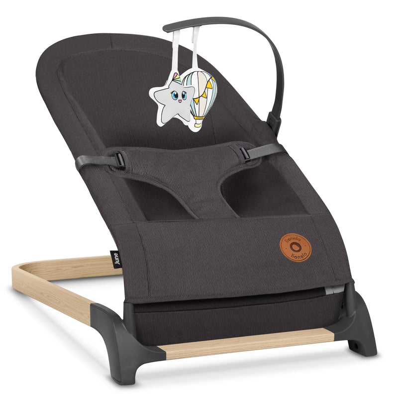 Silla Nido Columpio Hamaca June