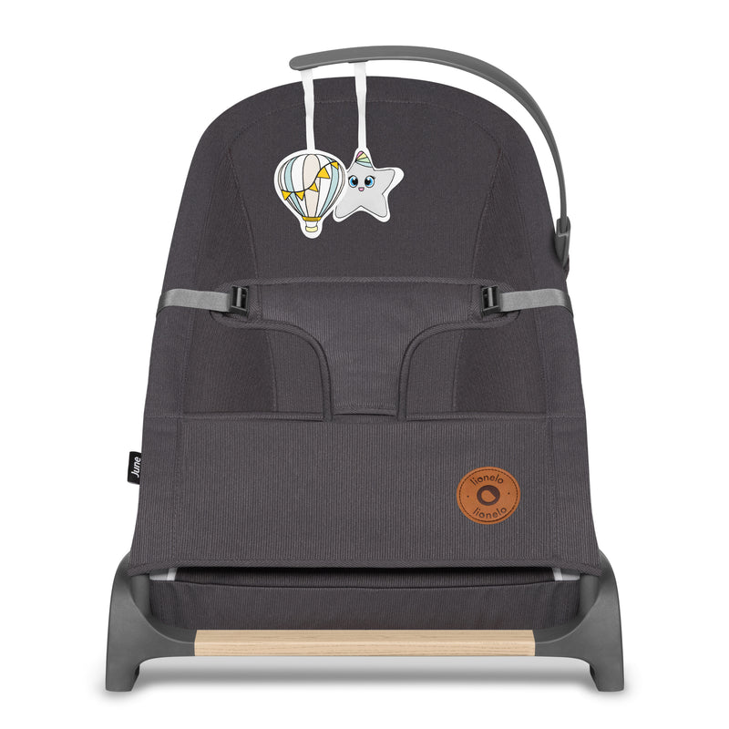 Silla Nido Columpio Hamaca June