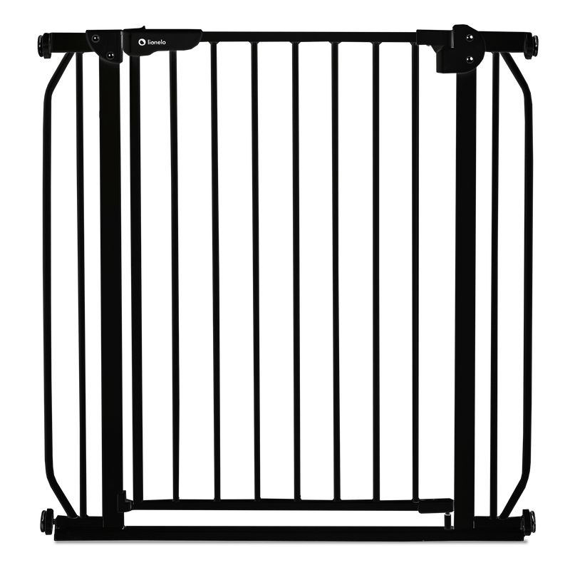 Puerta De Seguridad Truus Slim Black Onyx