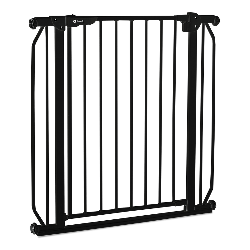 Puerta De Seguridad Truus Slim Black Onyx