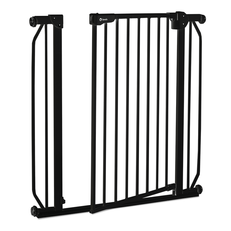 Puerta De Seguridad Truus Slim Black Onyx