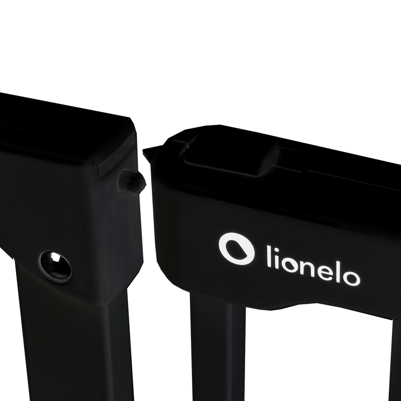 Puerta De Seguridad Truus Slim Black Onyx