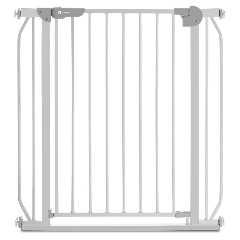 Puerta De Seguridad Truus Slim Grey