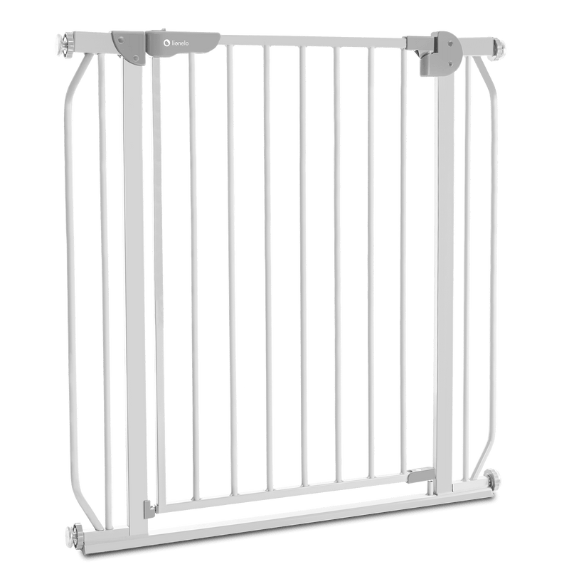 Puerta De Seguridad Truus Slim Grey