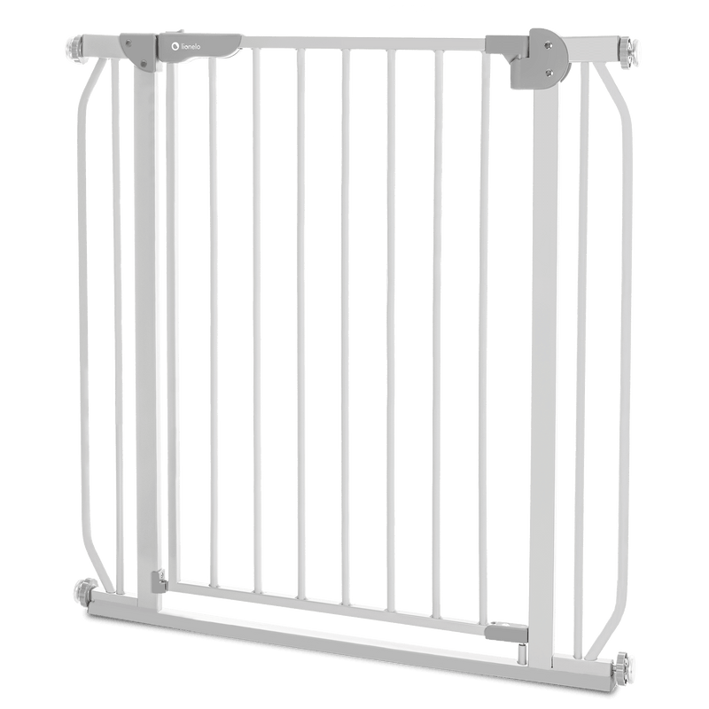 Puerta De Seguridad Truus Slim Grey