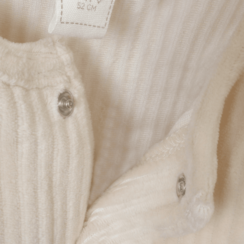 Osito Unisex plush