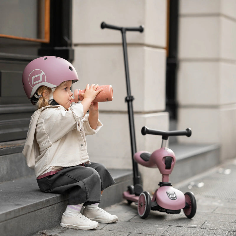Scooter 2 en 1 K1 Highwaykick  Push and Go Wildberry - Scoot and Ride