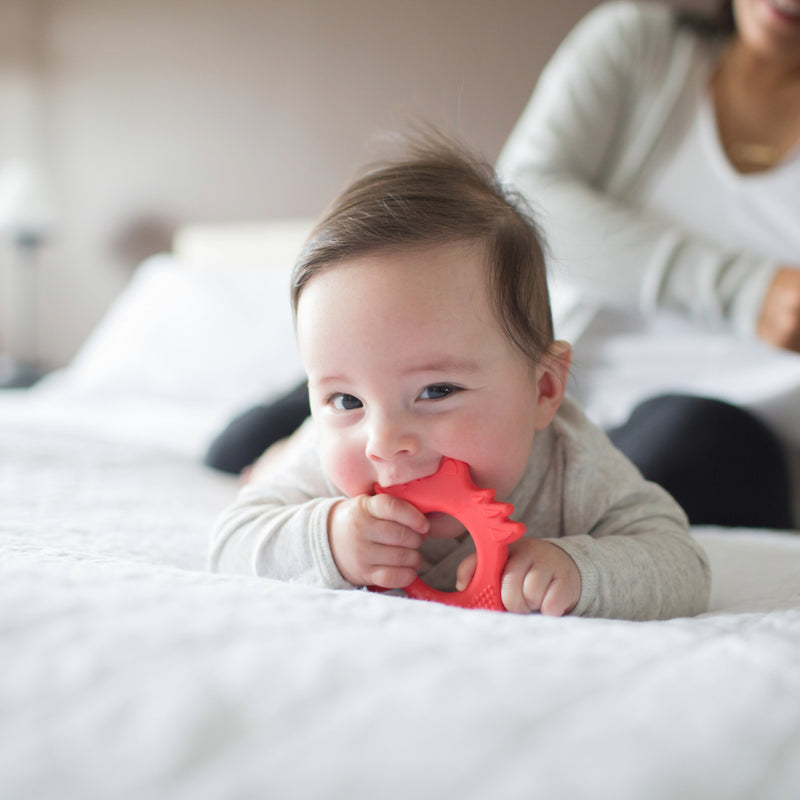 Mordedor Flexible 3M+ Zorro Rojo Dr. Brown's