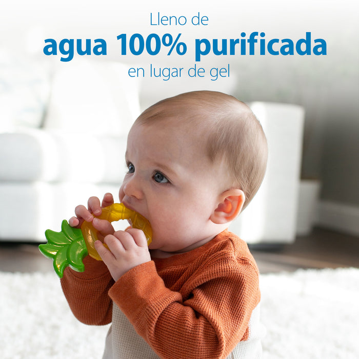 Mordedor de agua 3M+, 1 piña y 1 Manzana Dr. Brown's