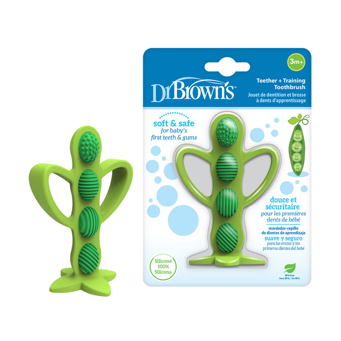 Mordedor y cepillo de dientes de aprendizaje 3M+, Arveja Verde Dr. Brown's