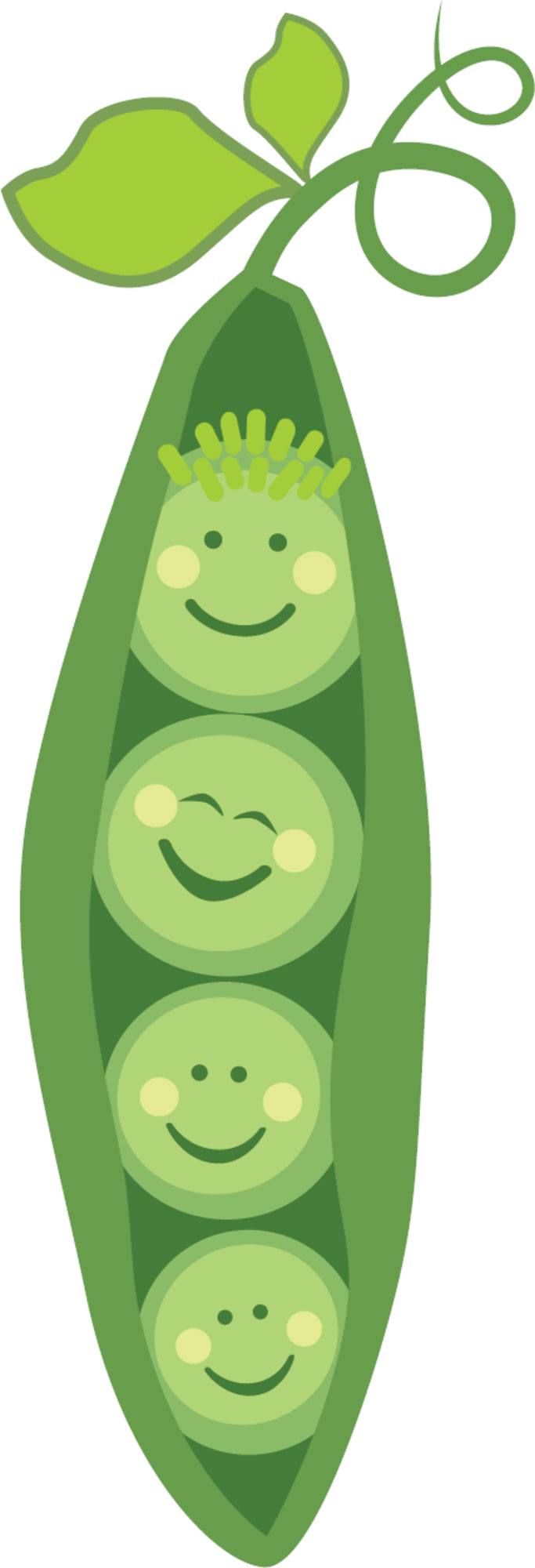 Mordedor y cepillo de dientes de aprendizaje 3M+, Arveja Verde Dr. Brown's