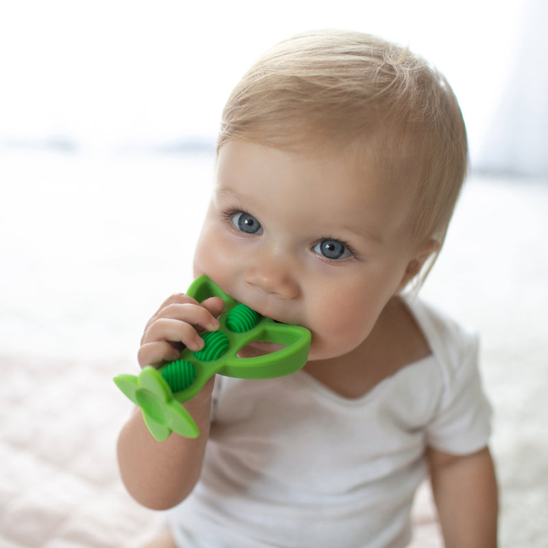 Mordedor y cepillo de dientes de aprendizaje 3M+, Arveja Verde Dr. Brown's