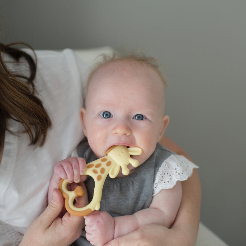 Mordedor Masajeador 3M+ Jirafa Dr. Brown's