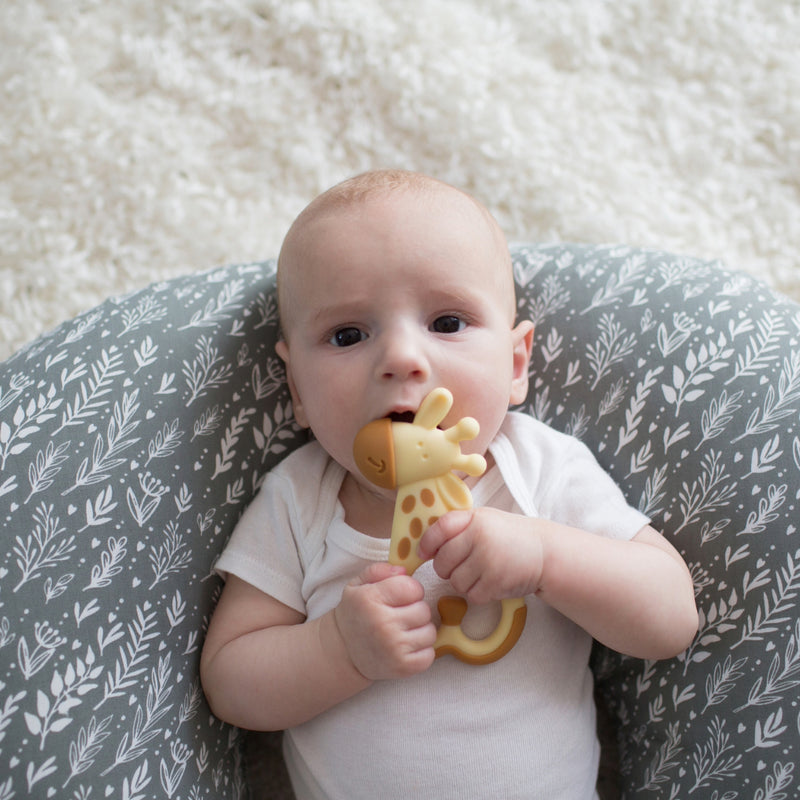 Mordedor Masajeador 3M+ Jirafa Dr. Brown's