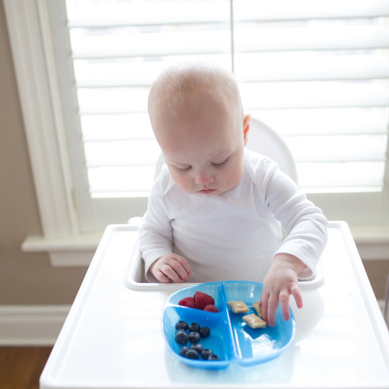 Pack 3 Platos divididos 4M+ Dr. Brown's