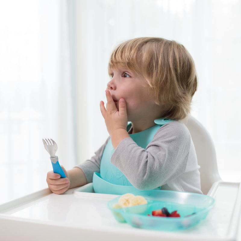 Pack 3 Platos divididos 4M+ Dr. Brown's