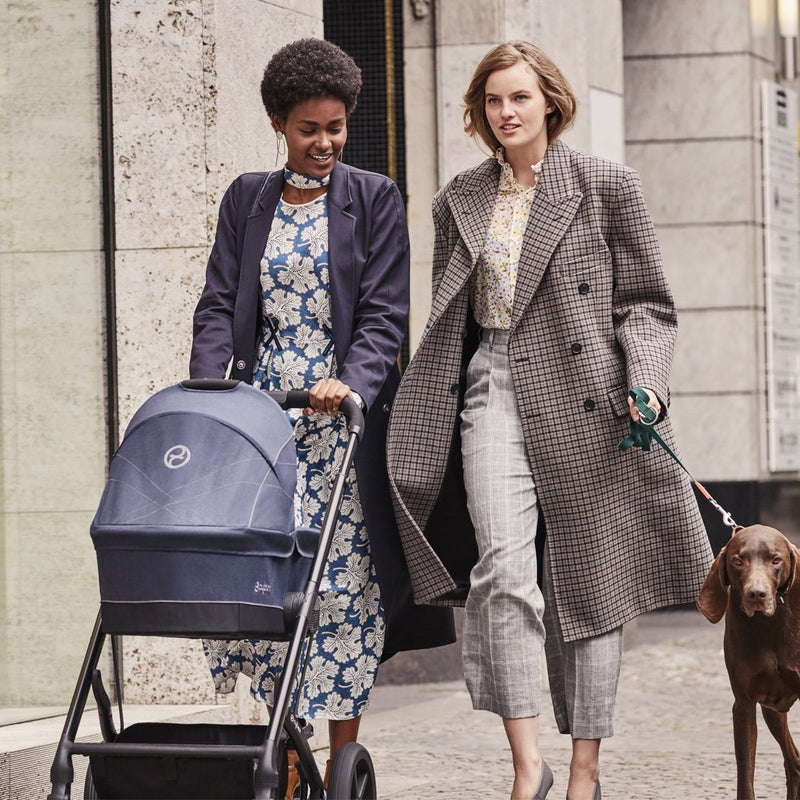 Moisés / Cot S Cybex