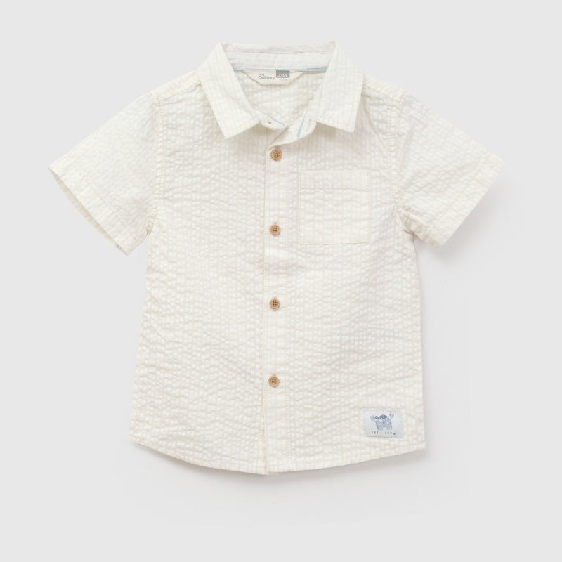 Camisa manga corta niño amarillo 6-9M a 4-5A