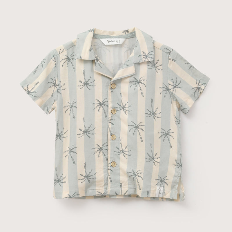 Camisa Verde Infant Niño