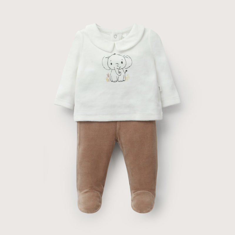 Conjunto Café Bebé Niño