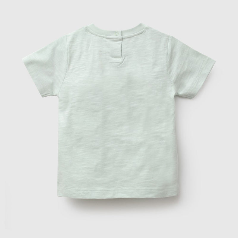Polera shark niño verde 6-9M a 4-5A