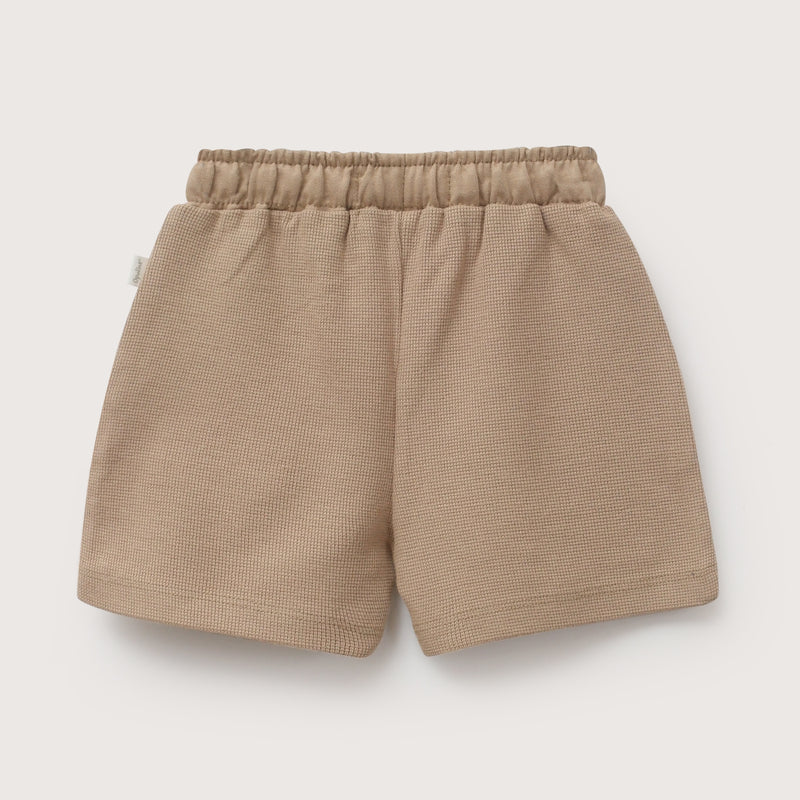 Short Cafe Infant Niño