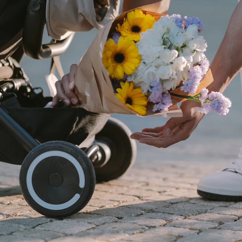 Coche Triciclo Traveler - Everest White