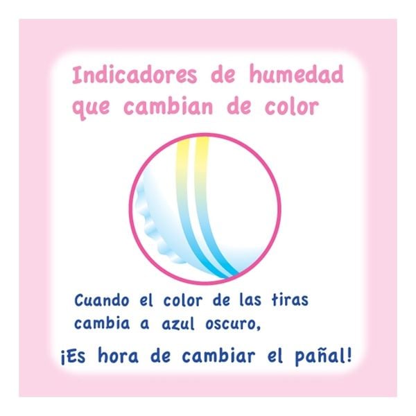 Pack 6x Pañales Merries Velcro XL 40un