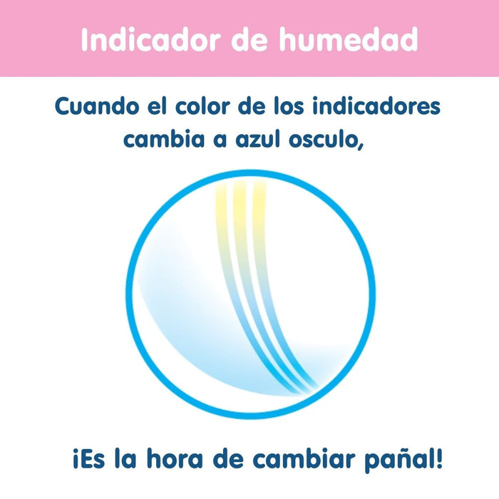 Pañales Merries Velcro Talla L 64un